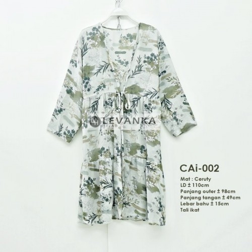 CAi-002 Outer Ceruti / Cerutty motif
